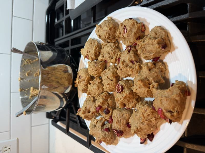 A plate of freshly baked dog biscuits cooling on the stove