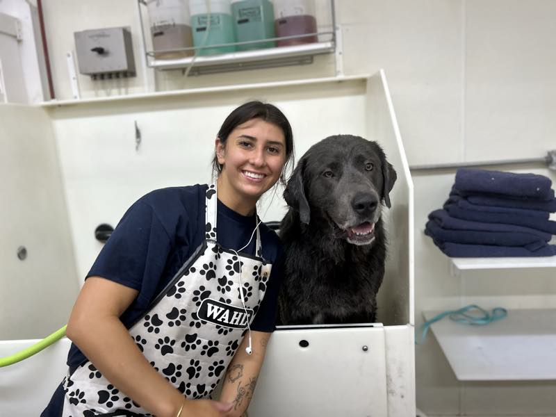 A member of the TopDog team beside a black Labrador in the wash room