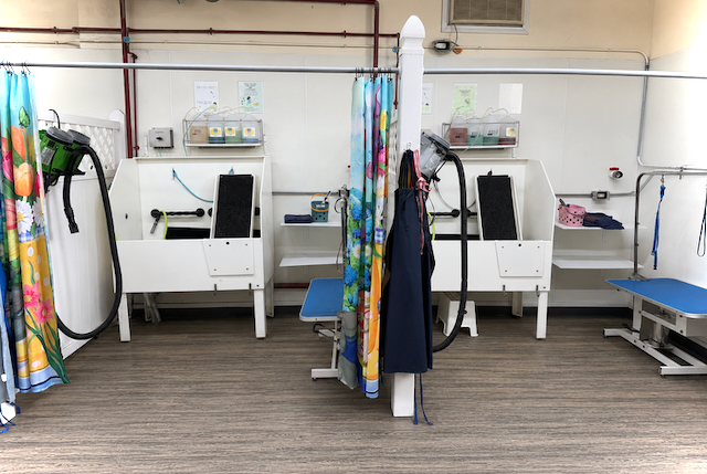 The self-serve bay at The Medway Dog Wash, two waist-high tubs with ramps, dryers on hoses, aprons hanging ready and shampoo on the shelf above.