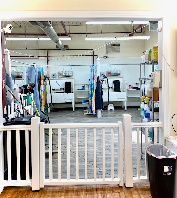 The self-serve wash room at The Medway Dog Wash seen from the doorway, tubs along both walls.